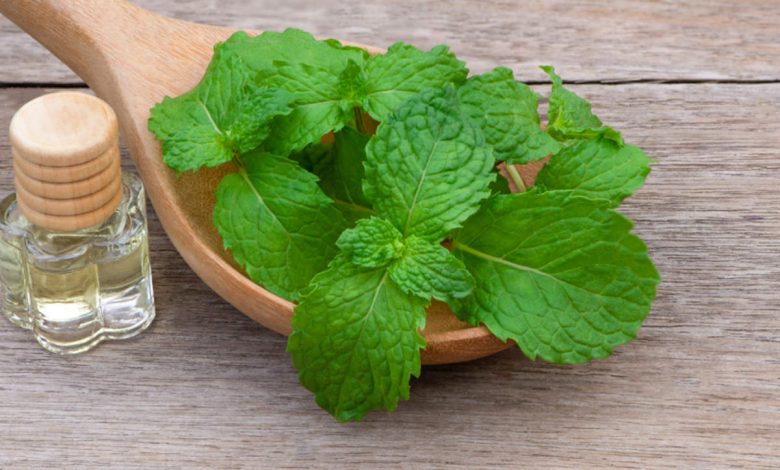 Top 10 Surprising Benefits of Peppermint Oil