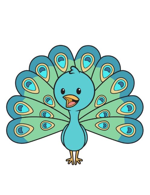 peacock drawing