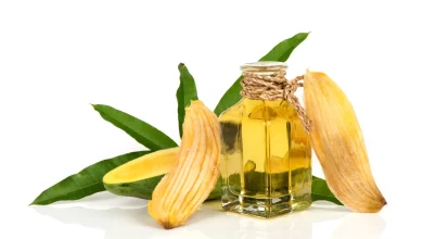 mango-seed-oil