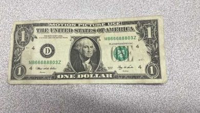 Fake Dollar Note