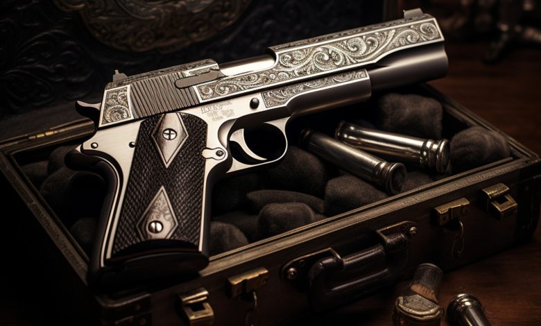 Gun Licenses Law